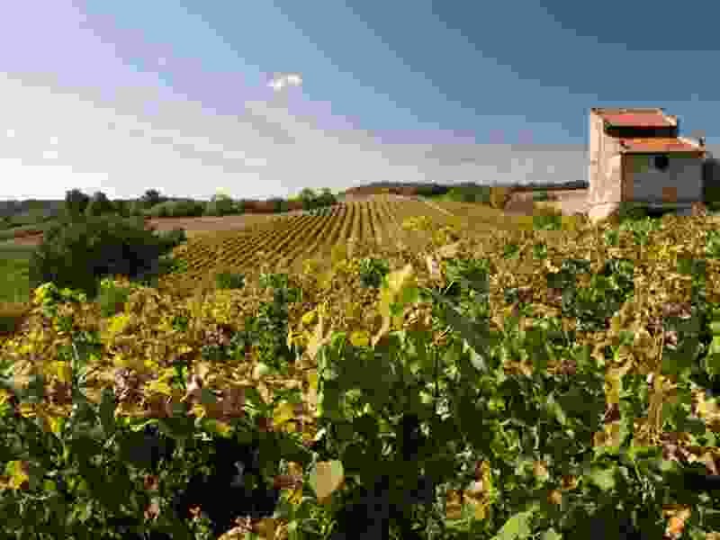 gaillac.jpg