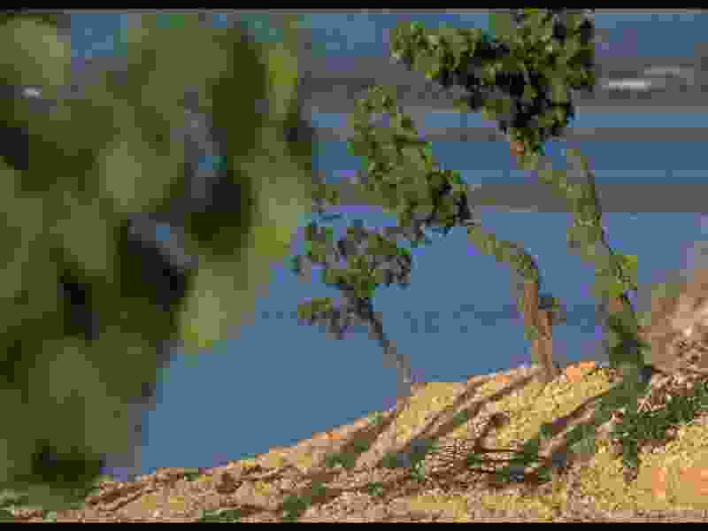 Corbières -2-.jpg