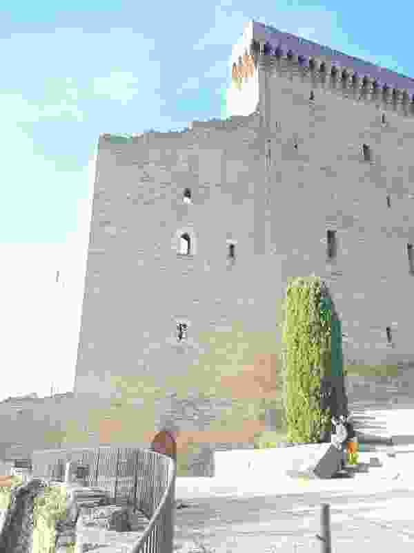 20231114_153150.jpg