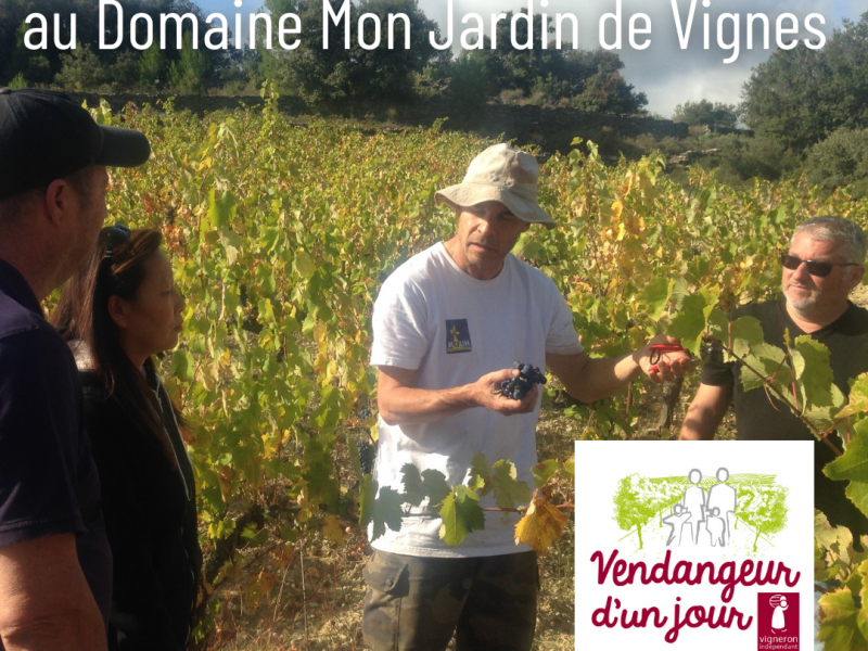 2JardindeVigne2.png