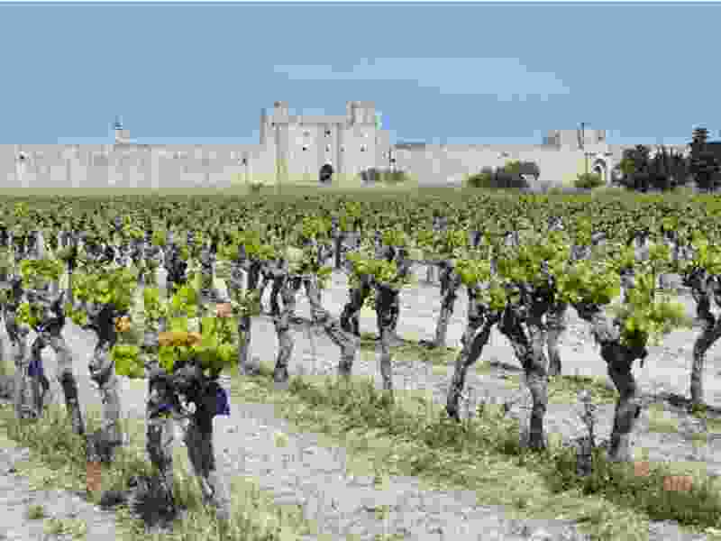 aigues_mortes_2.jpg