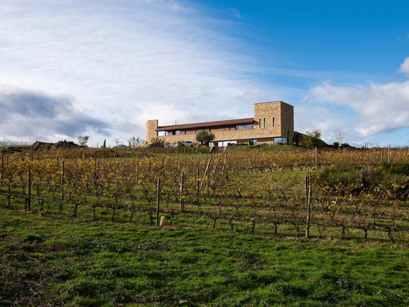 domaine stéphane montez.jpg