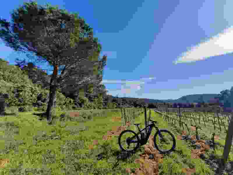 20210414_172140.jpg