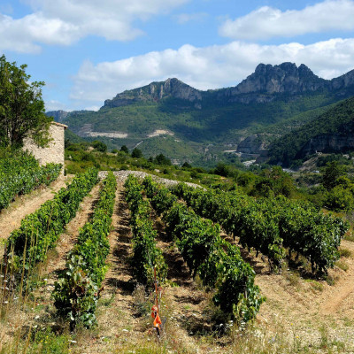 pepites-du-sud-image-intro