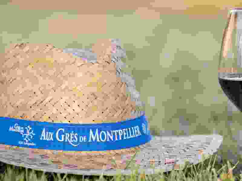 balade gourmande grès de Montpellier.jpg