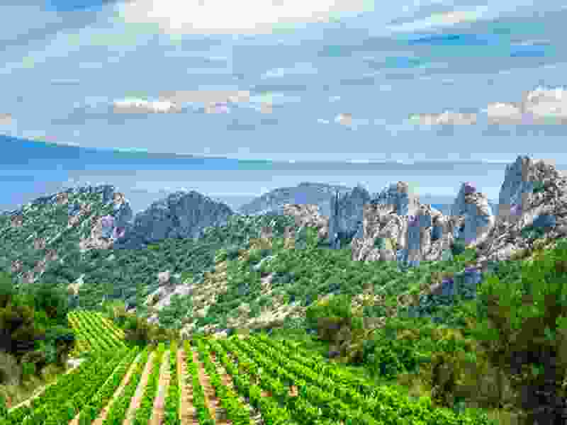 dentelles-montmirail-gigondas-rhone-meridional.jpg