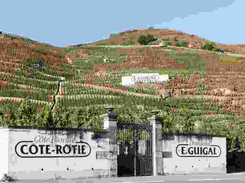 cote-rotie.jpg