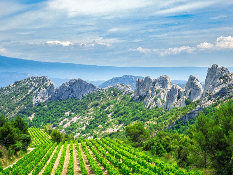 dentelles-montmirail-gigondas-rhone-meridional.jpg