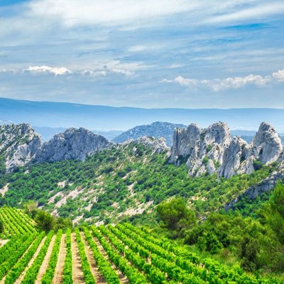 Dentelles Montmirail Gigondas Rhone Meridional
